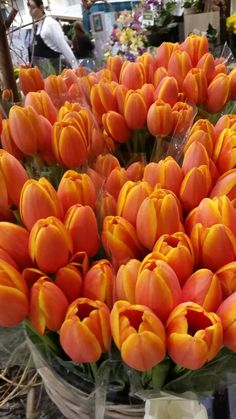 many orange tulips are arranged in a basket