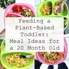 feeding a plant - based toddler meal ideas for a 20 month old