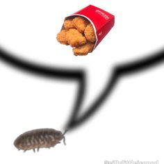 a cockroach crawling in front of a can of chicken nuggies