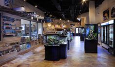 the inside of a store filled with lots of plants and glass cases full of items