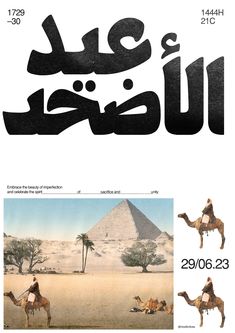 an advertisement for camels in the desert