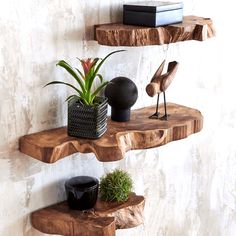 three wooden shelves with plants and vases on them