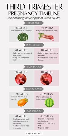 an info sheet describing the different types of fruits and vegetables in each region of the world