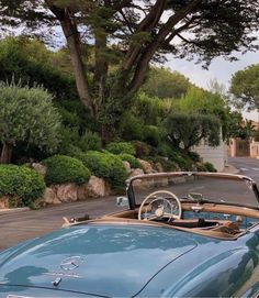 an old blue car parked on the side of a road next to a lush green forest