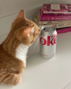 an orange and white cat sitting on top of a shelf next to a can of diet coke