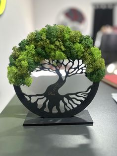 a small tree is displayed on a table