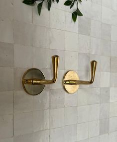 two brass bathroom hooks on a white tiled wall next to a green leafy plant