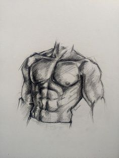 a pencil drawing of a muscular man's torso