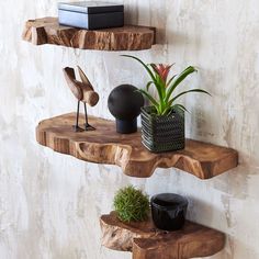 three wooden shelves with plants and books on them