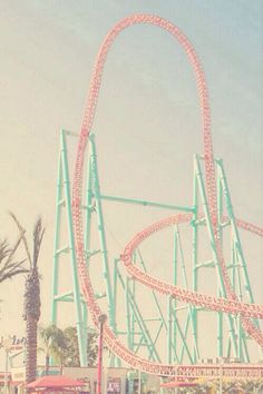 a roller coaster in an amusement park with palm trees