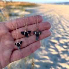 14k gold filled shark tooth necklace 🦈🌊 tooth found in NC and hand wrapped 16 inches and not adjustable  *each tooth will be different!! * If you have any certain requests please let me know, and I'll be happy to try and accommodate!! Shark Tooth Jewelry Diy, Shark Tooth Jewelry, Shark Teeth Jewelry, Ocean Isle Beach Nc, Tooth Jewelry, Lover Necklace, Beachy Jewelry, Ocean Isle Beach, Necklace Everyday