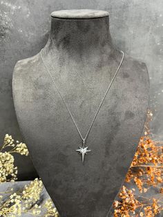 ✨Follow the Guiding Light - A Timeless North Star Necklace for Every Occasion ✨ Shine Bright with the North Star Necklace: Illuminate your style with the brilliance of the night sky through our exquisite 925 Sterling Silver North Star Necklace. Crafted with precision from high-quality 925 sterling silver, this necklace features a stunning North Star pendant, symbolizing guidance and hope. The pendant is elegantly adorned with a sparkling zircon stone at its center, capturing the essence of the s Silver Cubic Zirconia Star Necklace, Silver Star-shaped Jewelry For Birthday Gift, North Star Necklace, Guiding Light, Celestial Jewelry, North Star, Star Pendant, Star Necklace, Elegant Gift