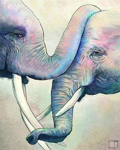 an elephant with tusks touching each other's trunks in pastel colors