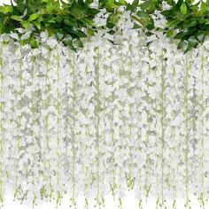 white flowers and green leaves are hanging down from the ceiling in front of a wall