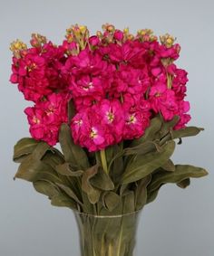 a vase filled with pink flowers on top of a table