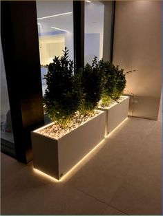 two white planters with plants in them on the side of a building at night