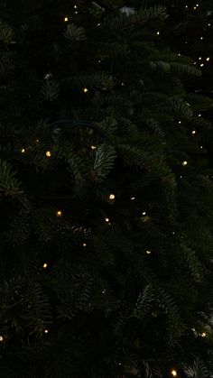 a teddy bear sitting in front of a christmas tree with lights on it's branches