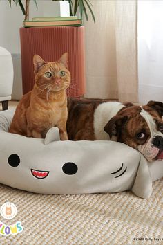 two dogs and a cat sitting on a bed