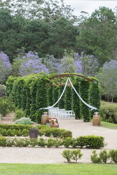 Garden ceremony venue with a natural green arbour and white chairs located on the Central Coast of NSW. Central Coast Wedding Venues, Country Gardens, Beachfront Hotels, Coast Wedding, Central Coast, Private Garden, Country Gardening, Reception Venues, Country Wedding