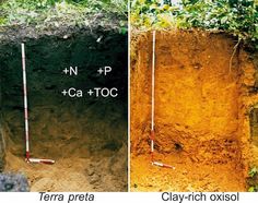 there are two different types of trenchs in the ground, and one is labeled