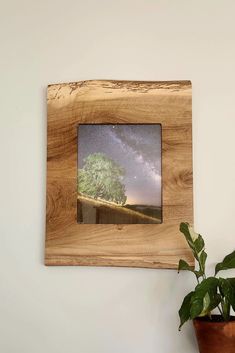 a wooden frame with a tree in the middle on a wall next to a potted plant