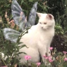 a white cat with wings sitting in the grass