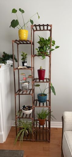 a living room filled with lots of potted plants on top of wooden shelves next to a white couch