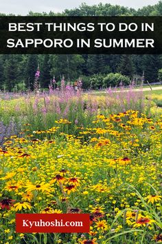 the best things to do in saporo in summer