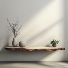 two vases and a plant on a wooden shelf