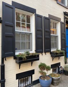 three windows with black shutters and planters in front of them