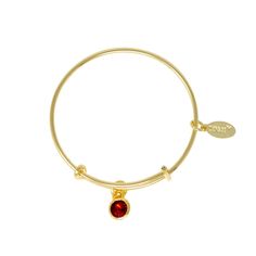 January is garnet, which is said to represent eternal friendship. Elevate her style with our exquisite January Birthstone Bangle Bracelet crafted with care from premium brass and luxuriously plated with 18K gold. Prayer Blanket, Childrens Shop, Birthstone Bracelet, January Birthstone, Birthstone Bracelets, Heritage Collection, Gift Card Shop, Gift Item, Her Style