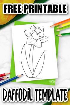 the free printable daffodil template for kids to color and use on paper