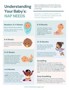 the baby's nap needs info sheet