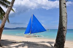 a sailboat on the beach with palm trees in the foreground and blue water