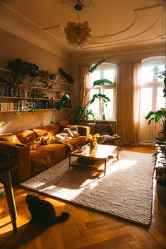 a living room filled with lots of furniture and plants on top of a hard wood floor