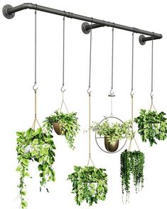 hanging planters with plants in them on a metal rod, isolated against a white background