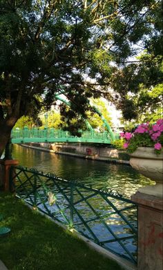 there is a green bridge that goes over the water and pink flowers are growing on the fence