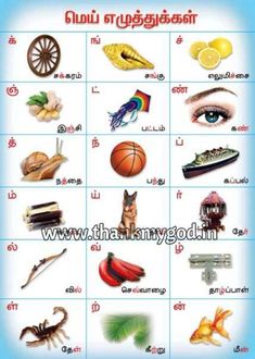 an image of different things that are in the language of english and thai words, with pictures