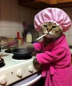 a cat in a bathrobe is brushing its teeth while wearing a pink hat