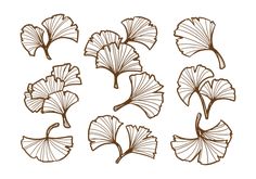 a set of nine hand drawn ginko tree leaves