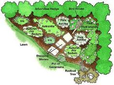 a garden map with trees and plants in the center, including an area that has been planted