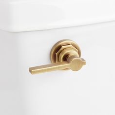 a white toilet with a gold handle on it