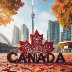 the word canada is made out of leaves in front of a large cityscape