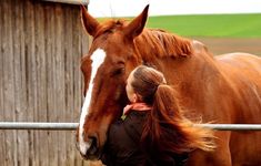 a woman standing next to a brown and white horse