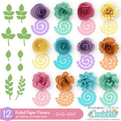 paper flowers are arranged in different colors and sizes