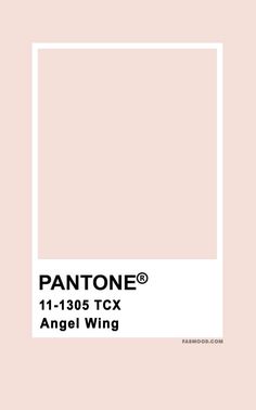 pantone's 11 - 1035 tcx angel wing