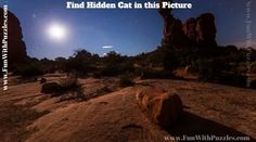 an image of the desert at night with text overlay that reads find hidden cat in this picture