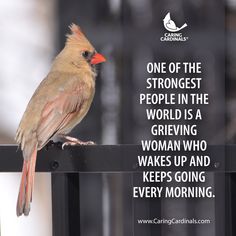 a bird sitting on top of a metal fence next to a quote about people in the world