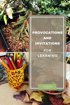 the words provocations and invations for learning are surrounded by various potted plants