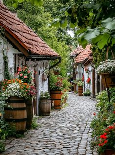 a cobblestone street lined with potted plants and wooden barrels filled with flowers